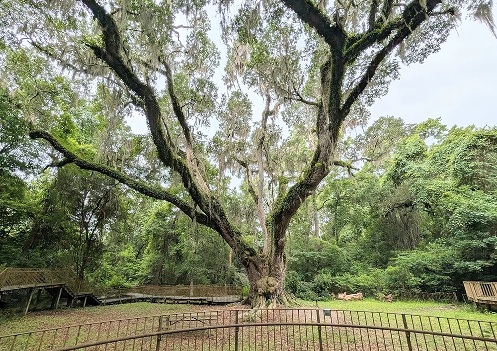 Village Pointe Park Reserve