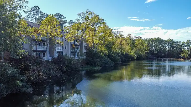 Scenic lake view