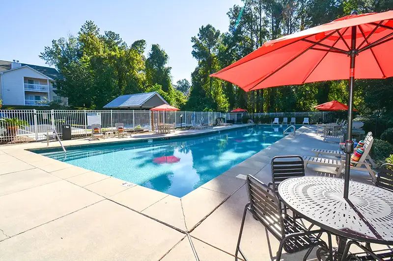 Olympic Size Saltwater Pool
