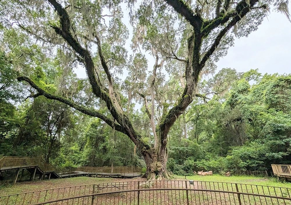 Village Pointe Park Reserve